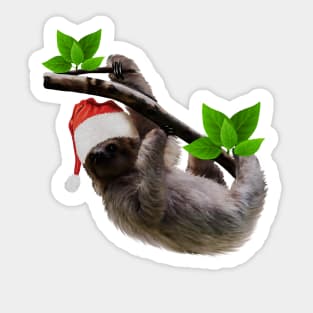 Funny Soth, Xmas Santa Hat, Christmas Animal Sticker